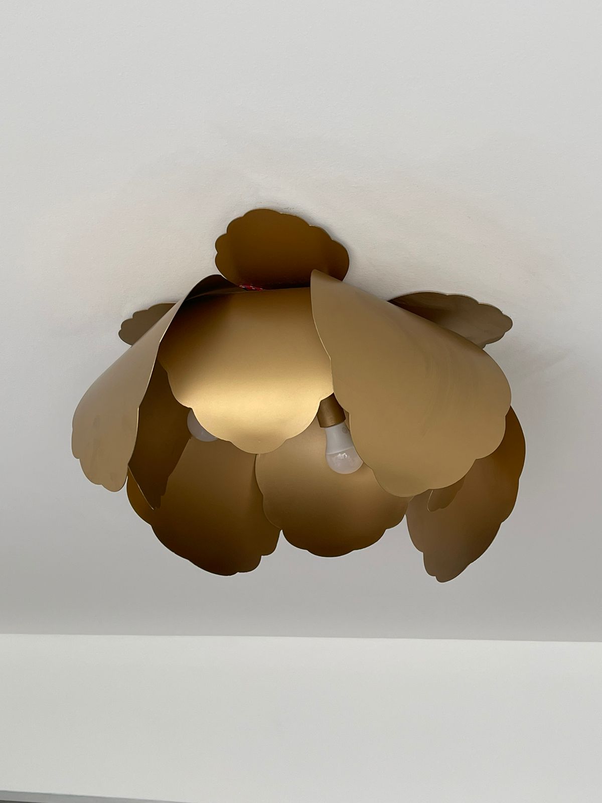 Flora - Plafones "Magnolia" - 4 Luces