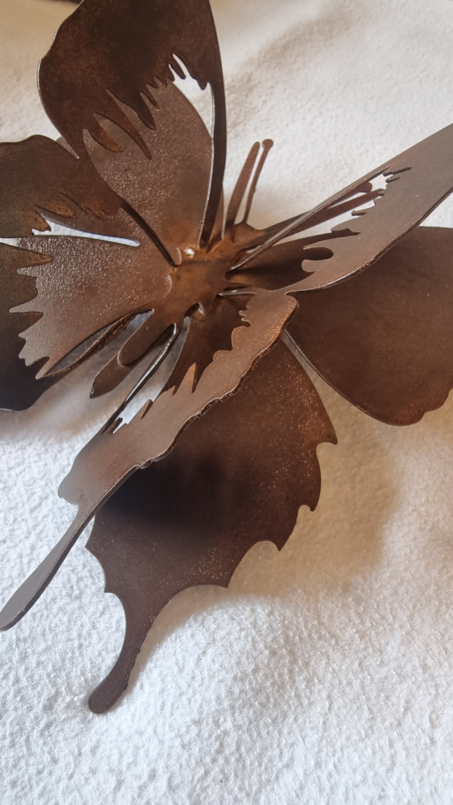 Mariposas de Pared con Relieve