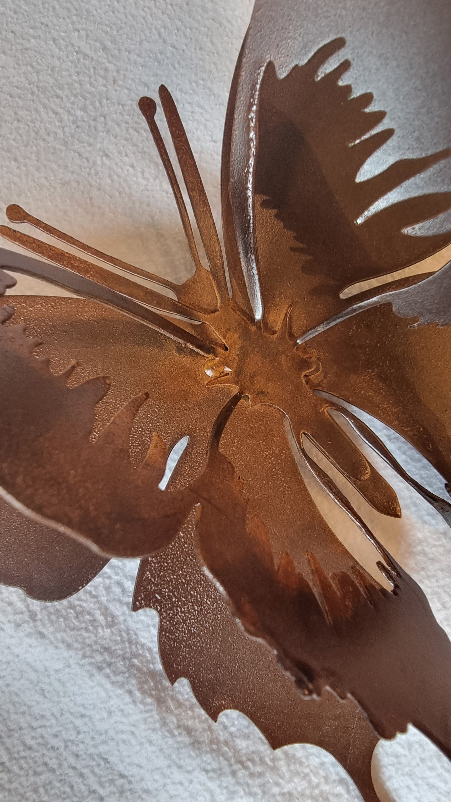 Mariposas de Pared con Relieve